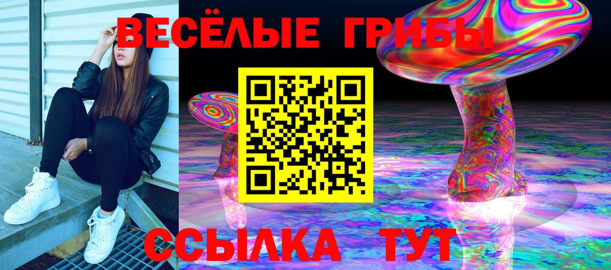Псилоцибиновые грибы GOLDEN TEACHER Бирск