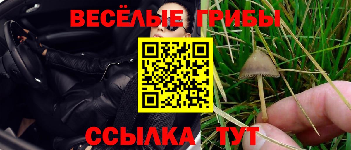 Бирск  Псилоцибиновые грибы GOLDEN TEACHER  Вход с VPN 